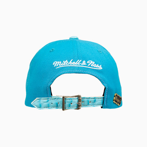 breyers-buck-50-charlotte-hornets-hat-with-leather-visor-breyers-tchh-blue